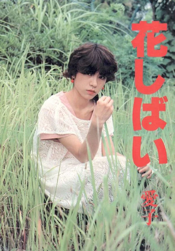 Hanashibai47