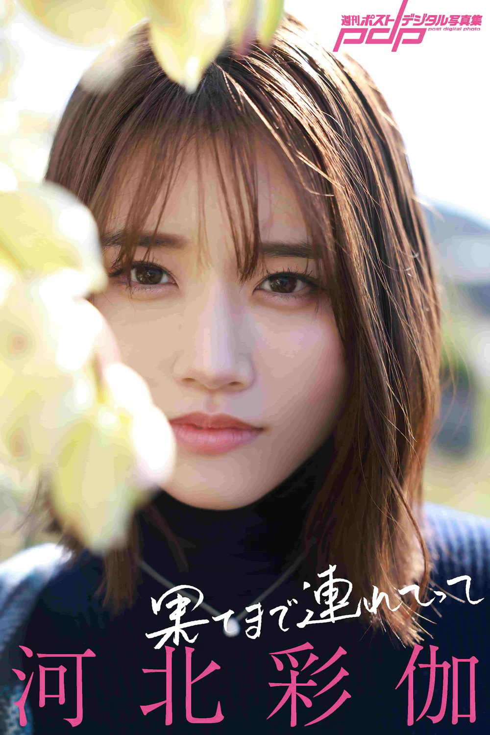 河北彩伽 果てまで連れてって【81P 156MB】