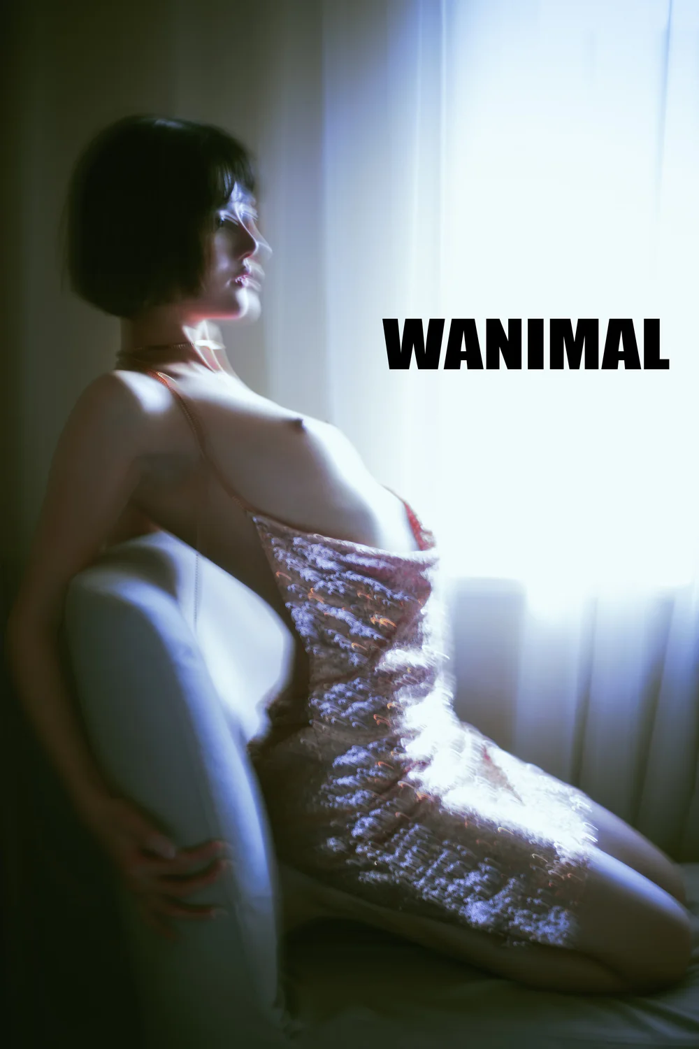 WANIMAL 2017.11