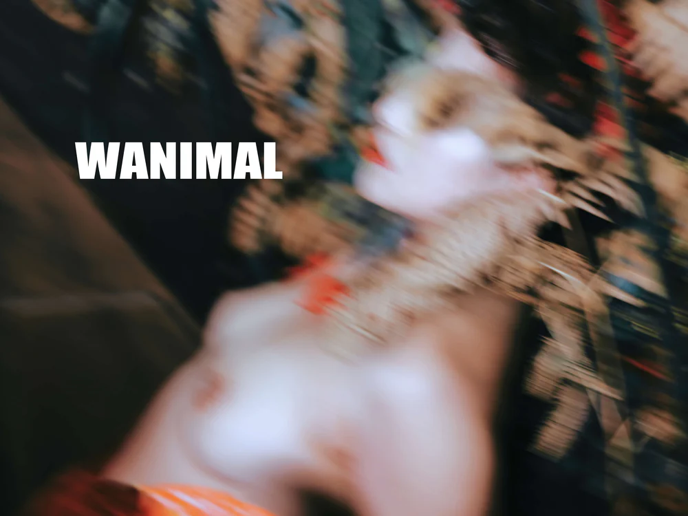 WANIMAL 2017.12