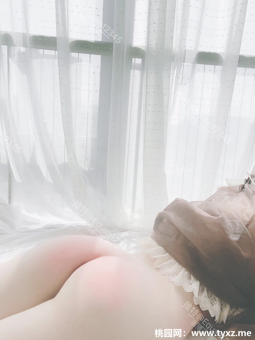 恶犬——新女仆